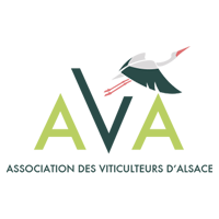 logo AVA